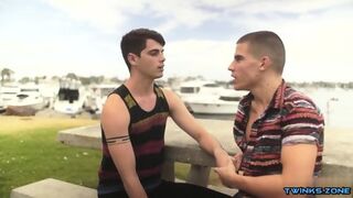 Muscle Twinks Bareback And Cumshot
