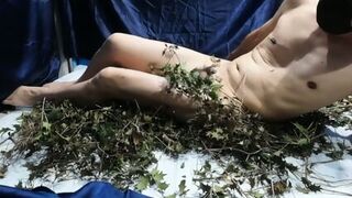 Asian Osvid69 Feeling Stimulating Nipples And Penis With Willow Leaves