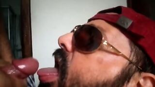 Rio De Janeiro Bull Sucking The Machos Off