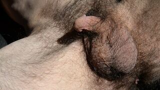 Gone Native II - Fan requests for really hairy; closeup, hairy pink hole, precum play & cumshot