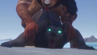 Gay Lion & Wolf Fuck By The Beach and Make Lots of Cum (Furry Orgasm In Mouth) / Wild Life Furries
