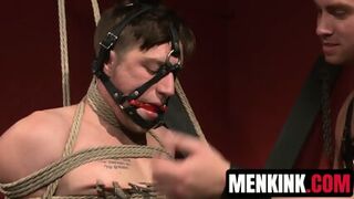 Logan Taylor Takes Every Inch Of Connor Maguire In Wild BDSM Setting