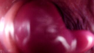 Internal Anal View Large Bad Dragon Rex Pounds My Ass And Cums