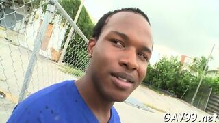 Interracial Fun Of Gays