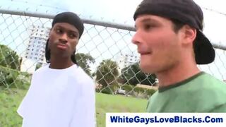 Black Gangster Sucks Whitey