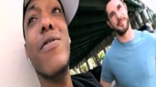 White & Black Gay Story