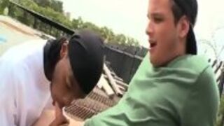 Hot Interracial Gay Sex