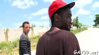 Interracial Fun Of Gays
