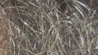 Forest Of Coconut Oiled Pubis Asmr Straight Edge Healthy Warmth Watching Dangling Shorties