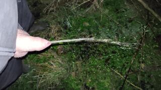 Big hairy bear peeing outdoors in various locations