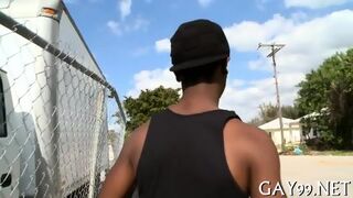 Interracial Fun Of Gays