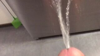Pissing on my Kithchen Appliances (With Slow Motion Replay)