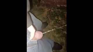 Sean takes a night outdoor piss