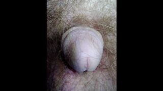 A close-up of this hairy crotch