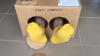 Surprise Delivery Series - Lucky magic cat ankle socks - Big Male Feet to Worship inside - Manlyfoot