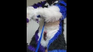 Johnny Huskey - Paw off and cum :3