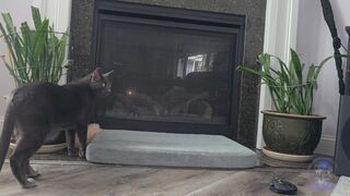 Not So Scary Straight Edge Fire Place Dangling Close Up Cock