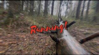 Forest running led to orgasm