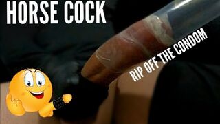 Huge Cock Worship on your knees POV Between My Legs and Suck My Big Dick for Solo Male Cumshot